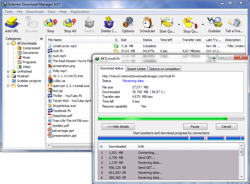 Internet Download Manager User Interface